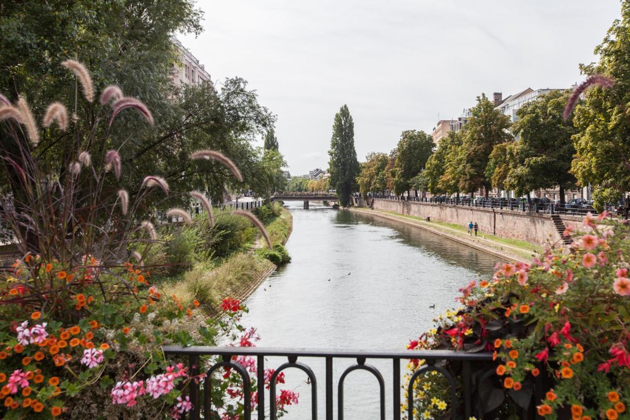 L'Appart Du Quai Avec Terrasse Strasbourg Eksteriør billede