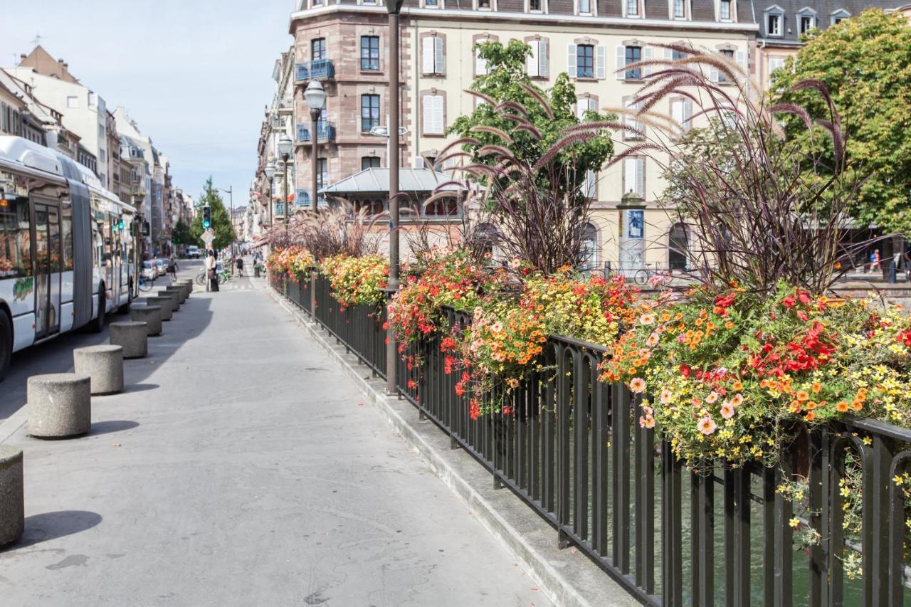 L'Appart Du Quai Avec Terrasse Strasbourg Eksteriør billede
